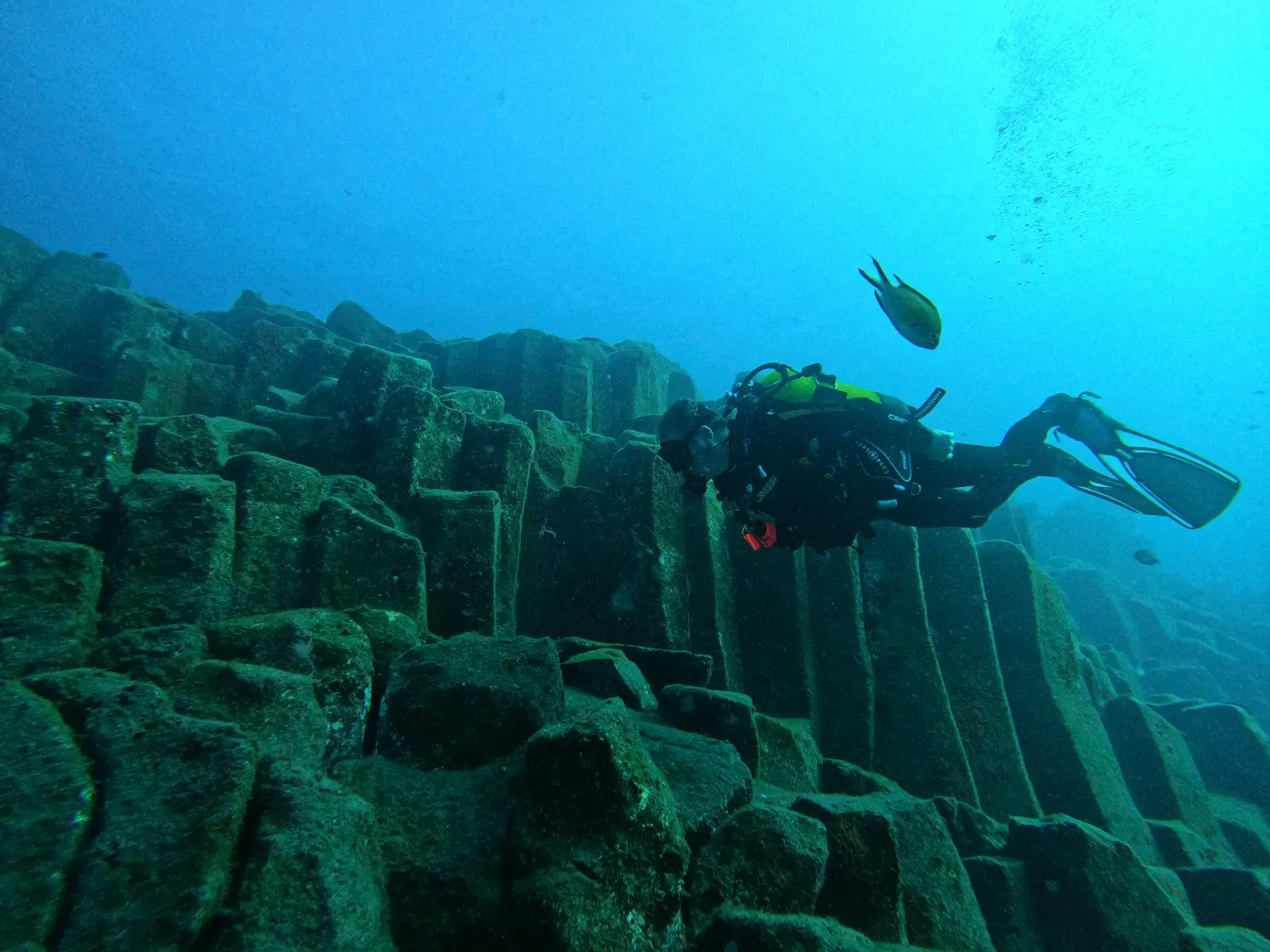 Sitio de buceo Atlantis, Los Gigantes