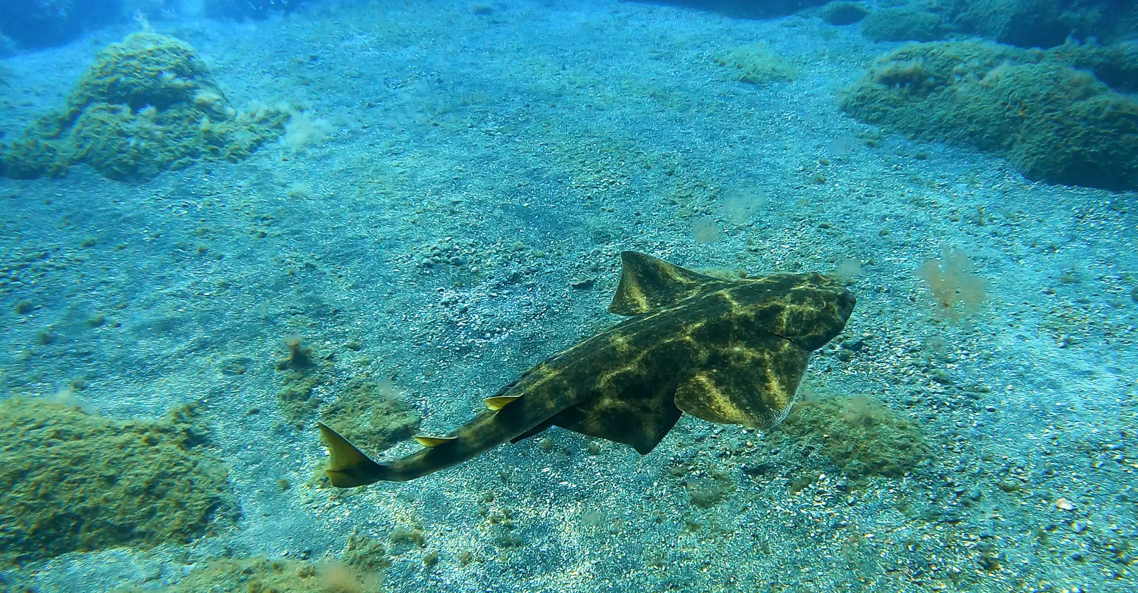 Buceadores certificados en barco