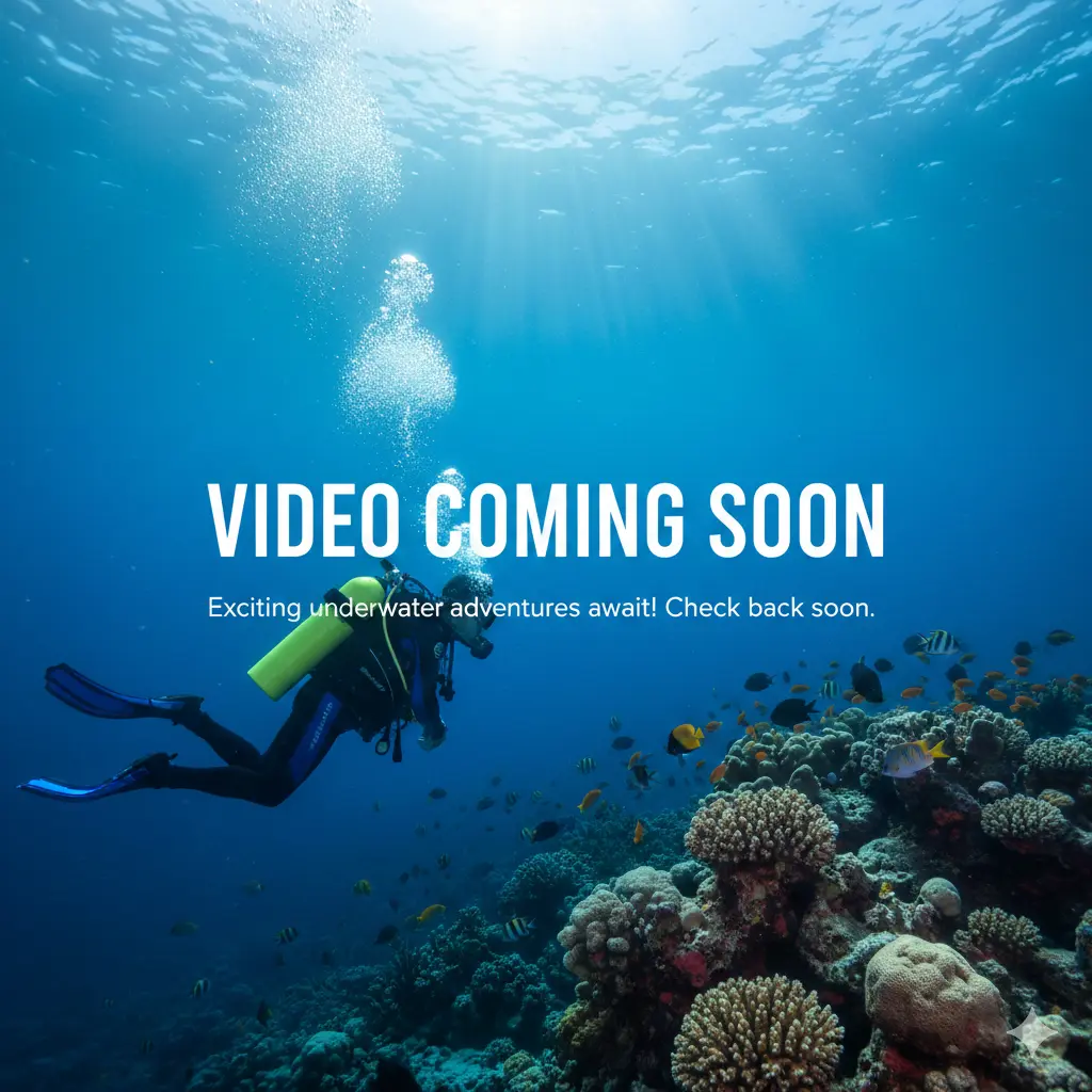 Vídeo próximamente